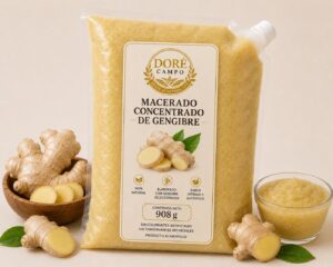 Macerado concentrado de jengibre